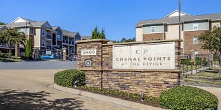Chenal Pointe at the Divide Gallery 15