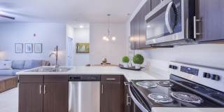 Aventura at Towne Centre Gallery 17