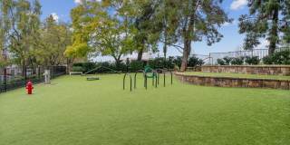 Sofi Ocean Hills Gallery 24