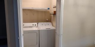 Woodlawn Beauty! Gallery 45