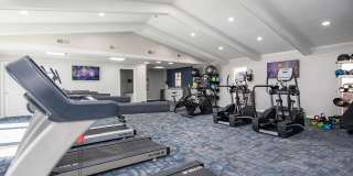 Arcadia Creekside Gallery 40