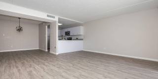 Bellevue Towers Gallery 123