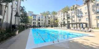 2379 Scholarship Gallery 14