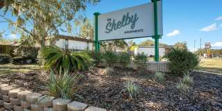 The Shelby Gallery 6