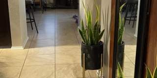 54 Basin Elm Gallery 6