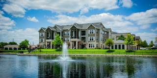 Aliso Briar Forest Gallery 18