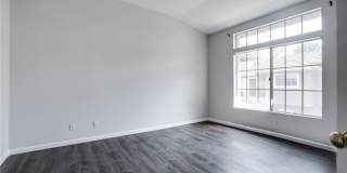 8034 E Snapdragon Gallery 12