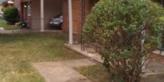 5268 Braden Dr Gallery 1