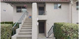 31402 W Nine Gallery 25