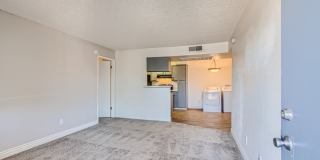 Rise Desert West Gallery 50