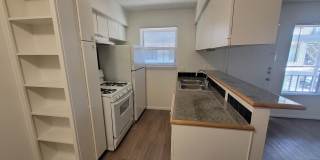 Penthouse Gallery 29
