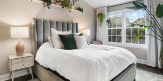 9274 Cardinal Forest Ln Gallery 14