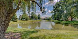 Residences at Lakeside Gallery 31