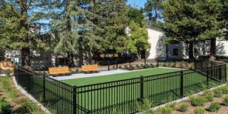 Sharon Green Gallery 50