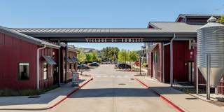 Village of Rowlett Gallery 37