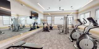 Insignia Apartments Gallery 25