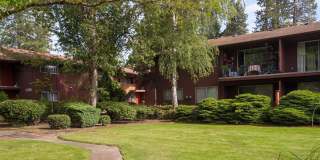 Royal Oaks Gallery 5