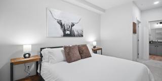 Mallon Apartment Gallery 8