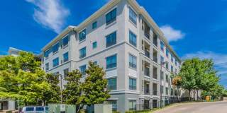 Elan at Bluffview Gallery 37