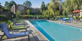 The Modern Gallery 32