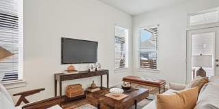 Canvas at Anna Gallery 36