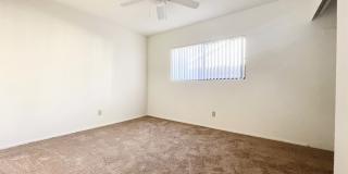 Single Level with Nature Reserve Views! Single Level with Nature Reserve Views! Gallery 20