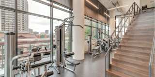 Cortland M-Line Gallery 14