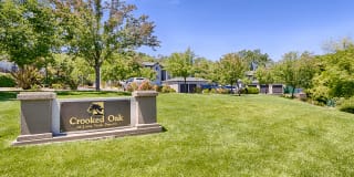 Crooked Oak Gallery 2