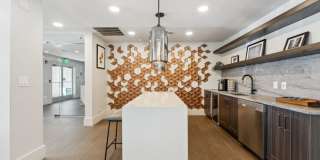 Sofi Lyndhurst Gallery 26