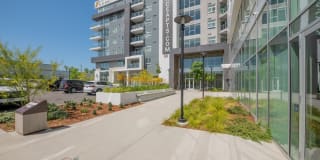 Essence Essence Gallery 12