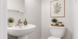 Village of Carrollwood Gallery 7