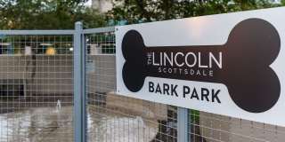 The Lincoln Scottsdale Gallery 29
