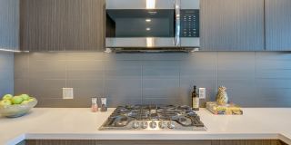 The Merian Gallery 48