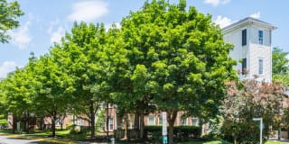 Regent's Park Gallery 32