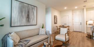 Atlantica at Daytona Gallery 8