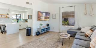 16 Nolina Ln Gallery 86
