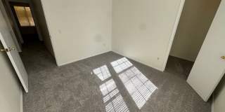 Live in the Timbers Gallery 9