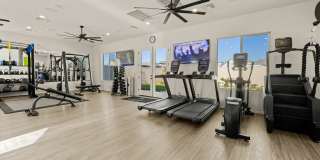 Canopy at Sundance Gallery 67