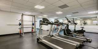 Bears Village Gallery 18