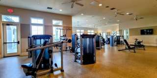 43885 Arancia Way Gallery 23