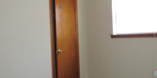 Pet Friendly Home! Gallery 15