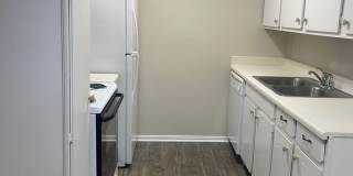 bg1224 bg1224 Gallery 12