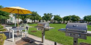 Sienna at South Mountain Gallery 35