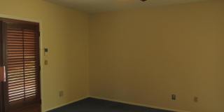 3777 N Camino Leamaria Gallery 9