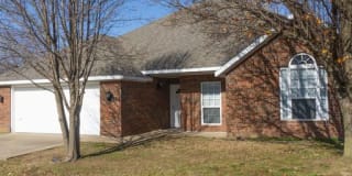 952 Queen Annes Lace (new) Gallery 1