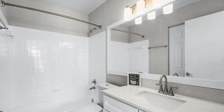 Sabal Palm at Lake Buena Vista Gallery 17