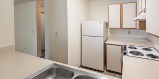 Black Lake Gallery 32