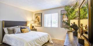 Elevation Apartments Gallery 16