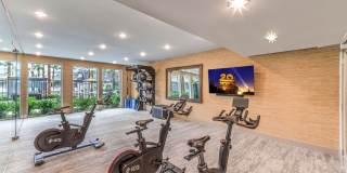 Aspire at Alper Gallery 42