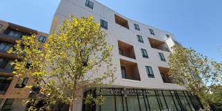 Pearl Springdale Gallery 9